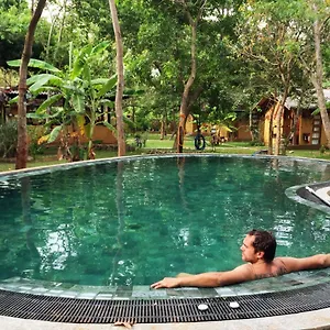 https://sat-nam-village-eco-hotel.kandyhotelsnow.com
